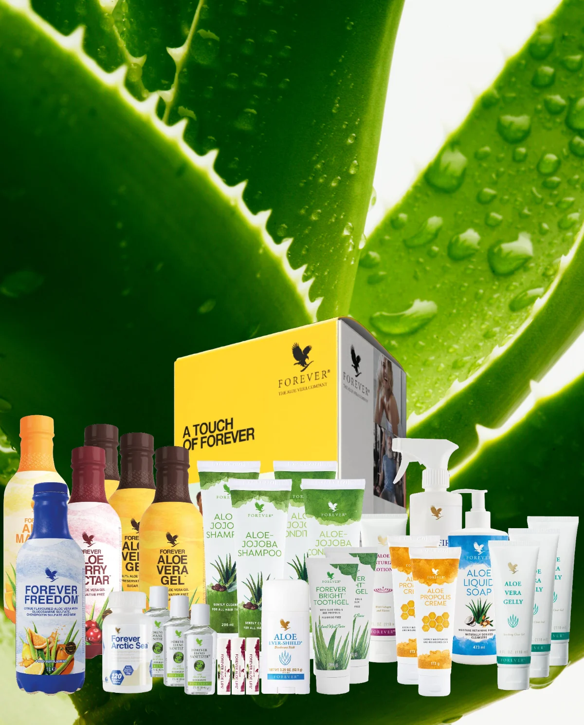 Aloe vera Pflegeprodukte