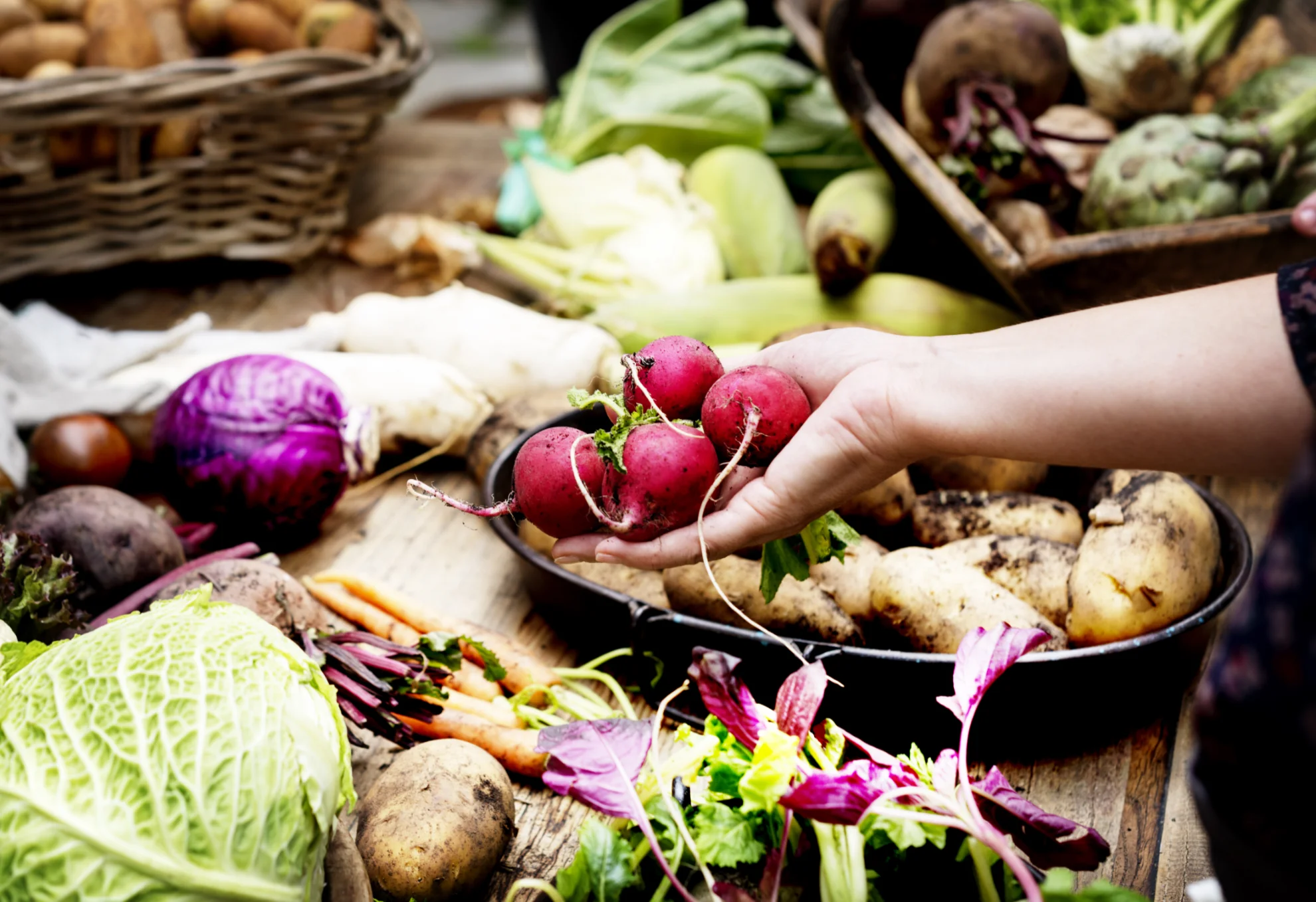 Foto Die Heilkraft der Natur: Dein Schutzschild aus der Region