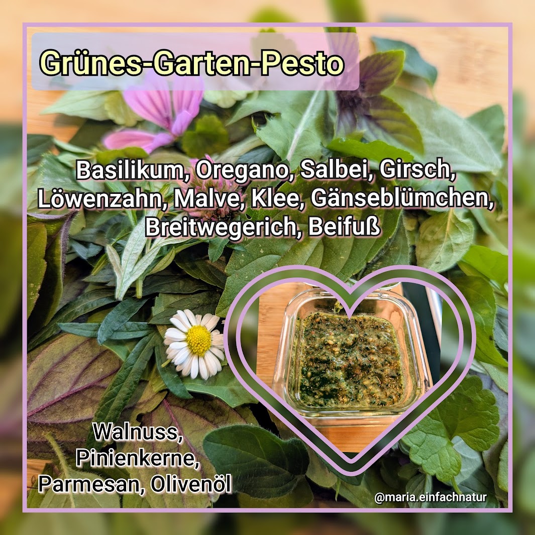 Gartenpesto